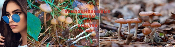 кристаллы Армянск