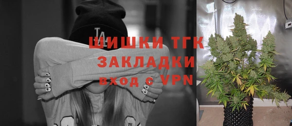 гидра Аркадак
