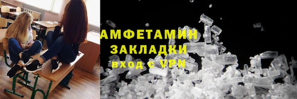 гидра Аркадак