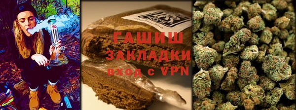 гидра Аркадак