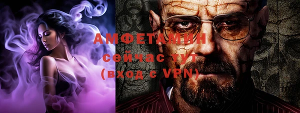 гидра Аркадак