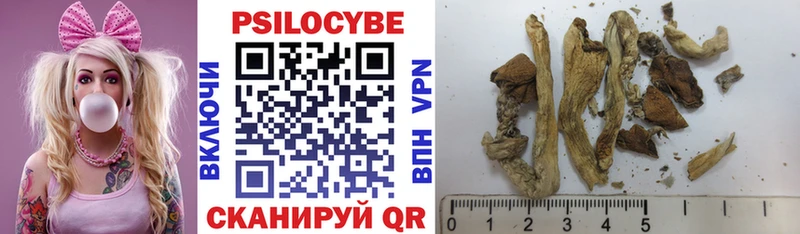 Галлюциногенные грибы Psilocybine cubensis  Чишмы 
